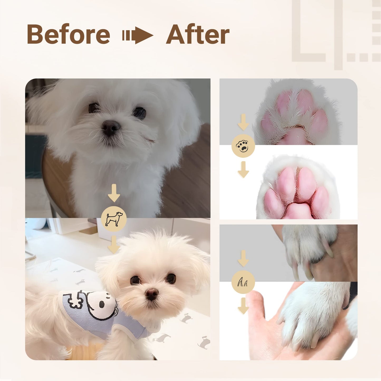 (🔥Last Day Promotion - 49% off)2025-Ultimate Pet Grooming Kit 🐶 4-in-1 Electric Clippers with 4 Interchangeable Blades